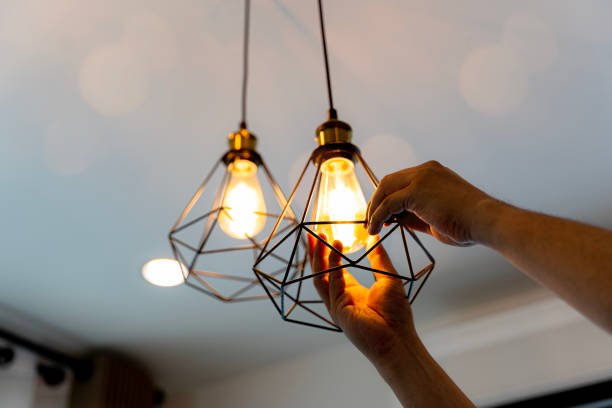 Best Electric Panel Repair  in Louisburg, NC